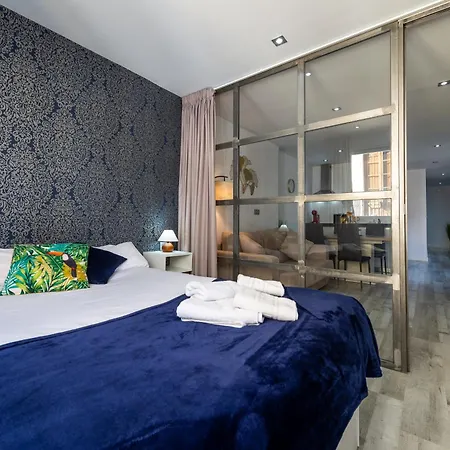 Apartment Centro Granada, 1 Minuto Catedral Granada